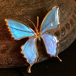 本物の蝶の羽　蝶ブローチ兼ペンダント　ゼフィリティスモルフォ　[zps025g-zep] 1枚目の画像