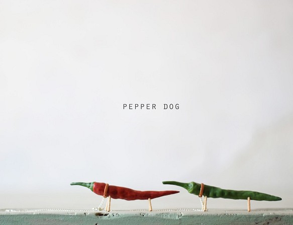 Pepper dog（とうがらし犬） 1枚目の画像