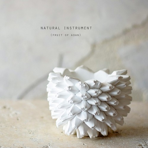 Natural instrument アダンの実（white）器のみ 立体・オブジェ NULL