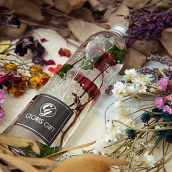 液態標本瓶系列 【雙瓶套組】 - Cloris Gift 琉璃花 (任選兩瓶) 第1張的照片