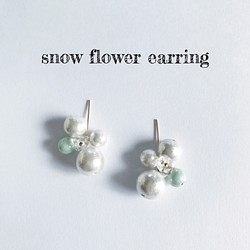snow flowers 1枚目の画像