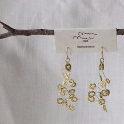 梭織蕾絲耳環（耳環）金 第1張的照片