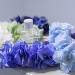 ◆【配案例】花褶瓦萊塔繡球花繡球花[藍色系列紫藤藍] 第1張的照片