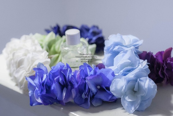 ◆【配案例】花褶瓦萊塔繡球花繡球花[藍色系列紫藤藍] 第1張的照片