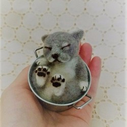 缶猫　ブルーグレー(´ω`) 1枚目の画像