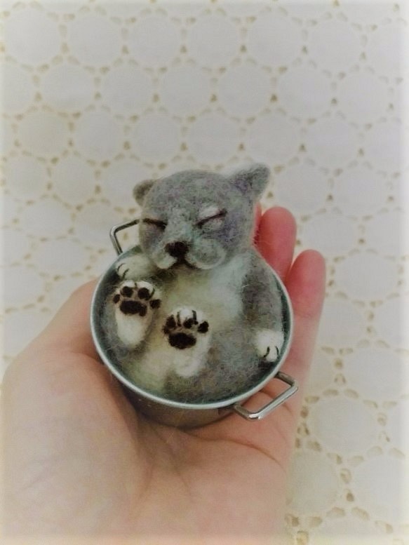 缶猫　ブルーグレー(´ω`) 1枚目の画像