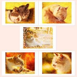 猫アート。ねこ のポストカード（はがき）５枚セット 1枚目の画像