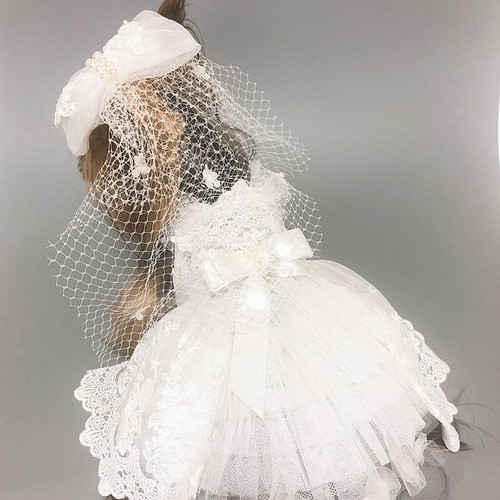 犬服オーダー スカラレースウエディングドレス ペット服 アクセサリー Ari Ra 通販 Creema クリーマ ハンドメイド 手作り クラフト作品の販売サイト