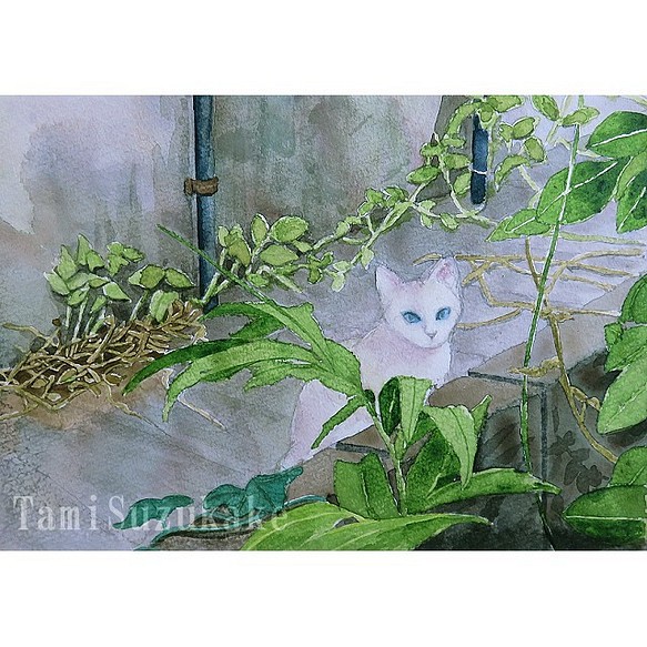 水彩画・原画「裏路地の白猫」 1枚目の画像