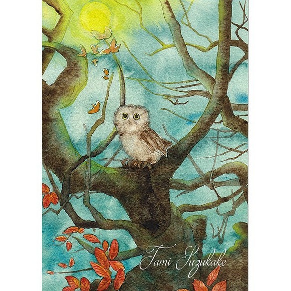 水彩画・原画「森のフクロウ」 1枚目の画像
