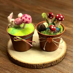 治療的な願いは小さな鉢植えのキノコ、手作りのウールフェルト（Hedgehog / Rabbitシリーズ） 1枚目の画像