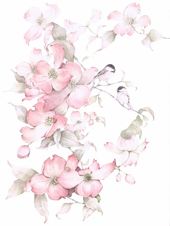 優しい花の水彩画ー春の花、ピンクのハナミズキとコガラ 絵画 なお子 通販｜Creema(クリーマ)