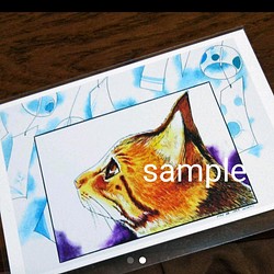 風鈴猫オリジナルポストカード☆同柄三枚セット 1枚目の画像