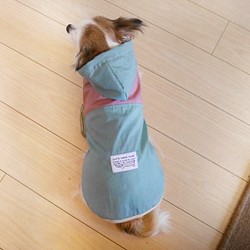 【受注生産】犬用レインコート 撥水生地  S・M・D・L 1枚目の画像