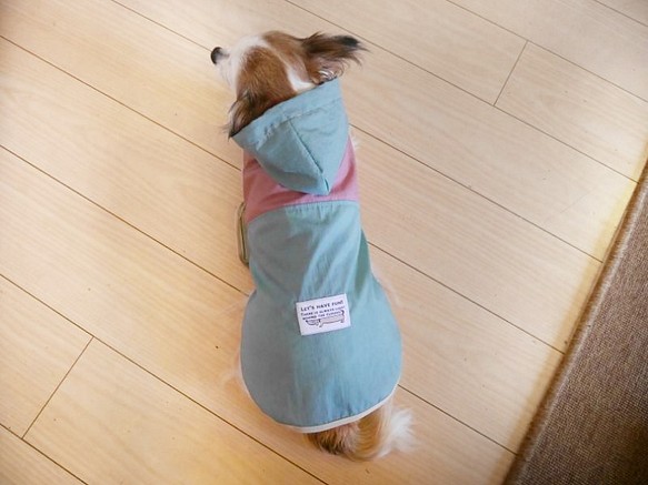 【受注生産】犬用レインコート 撥水生地  S・M・D・L 1枚目の画像