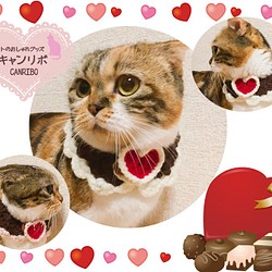 猫 首輪 つけ襟の首輪ハートのバレンタイン 1枚目の画像
