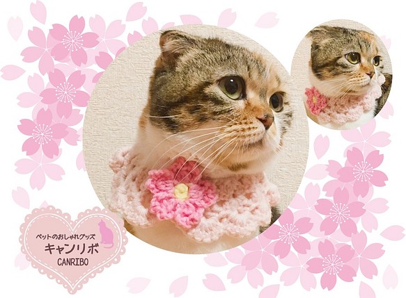 送料無料 猫 首輪 つけ襟首輪 桜 リード 首輪 キャンリボ 全商品送料無料 通販 Creema クリーマ ハンドメイド 手作り クラフト作品の販売サイト