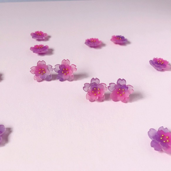 *Haku‧Neko*勾配夜桜の二重勾配紫とピンクの桜のイヤリング[さくらの花限定シリーズ] 1枚目の画像