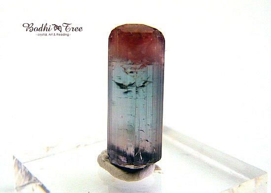 バイカラ―トルマリン結晶柱 1枚目の画像