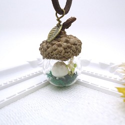 MNII○松果裡的蘑菇叢林○模型○玻璃球項鍊 第1張的照片