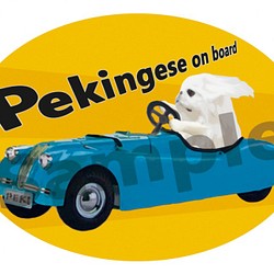 カーステッカー　ペキニーズ　ホワイト　レーシングカー　(DOG ON BOARD / IN CAR ステッカー) 1枚目の画像