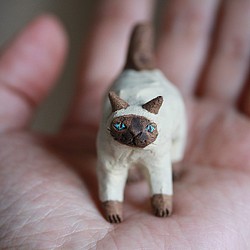 青い目の猫【猫_314】 1枚目の画像