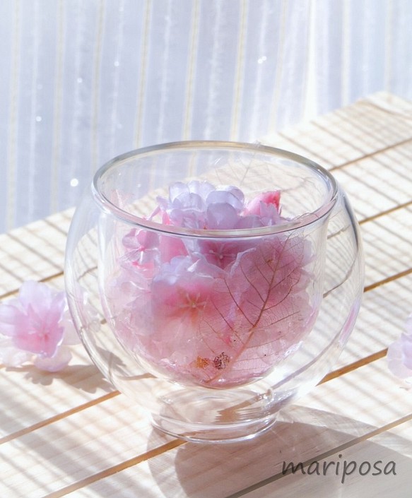 ガラスの中の桜 ～ お祝いに・ガラスカップの桜・透明感で桜を愛でるジェルアレンジの桜フラワーインテリア 1枚目の画像