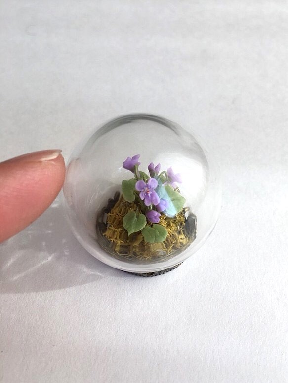 Tachitsubo紫羅蘭的玻璃圓頂 第1張的照片