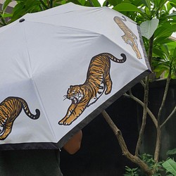 老虎也發懶自動折傘 第1張的照片