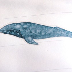クジラとイルカの本の透明なステッカー 1枚目の画像