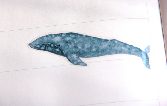 クジラとイルカの本の透明なステッカー 1枚目の画像