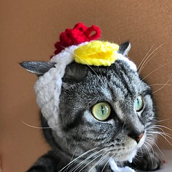 再販 猫用帽子♡にわとり 1枚目の画像