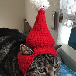 猫用帽子♡サンタ 1枚目の画像