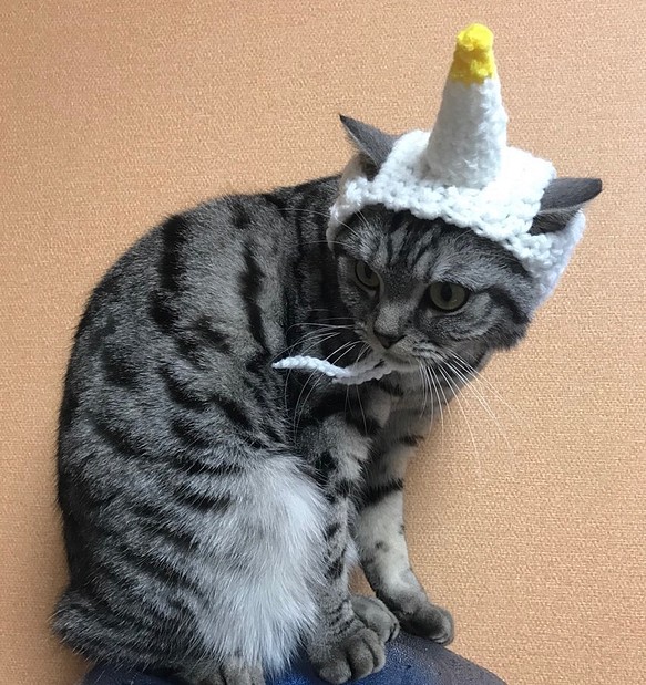 猫用帽子 ユニコーン 1枚目の画像