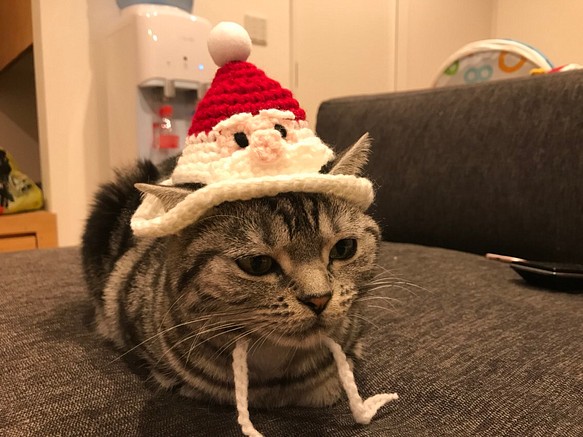 クリスマス限定☆サンタ帽の猫　刺繍ブローチ　次男♡