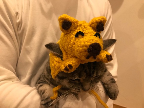猫用帽子 とんがり耳わんちゃん 1枚目の画像