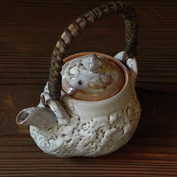 茶壺（考拉吉） 第1張的照片