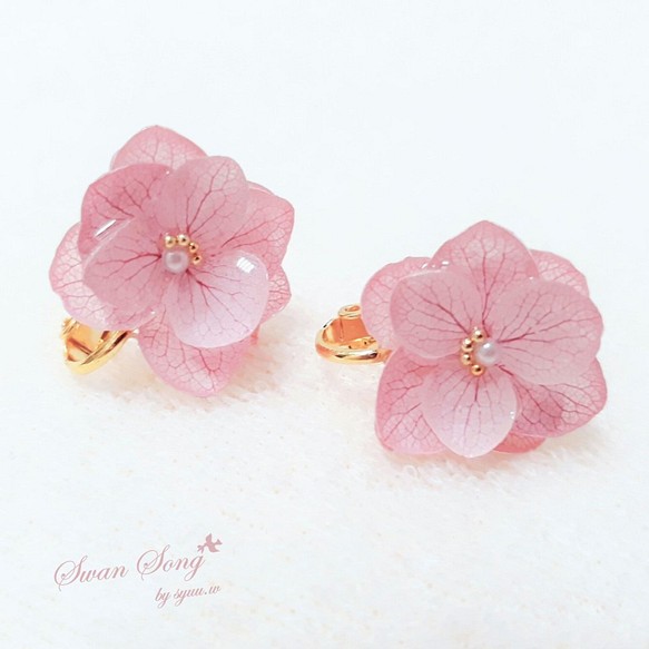 永生花♡ 小桃花 peach blossom  (耳針/耳夾) 第1張的照片
