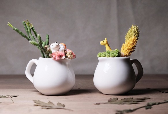 雙享肉壺 乾燥花多肉盆栽DIY材料包 succulents potted 第1張的照片