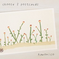 26-b 菊のつぼみ（まっすぐに）・3枚選べるpostcard 1枚目の画像