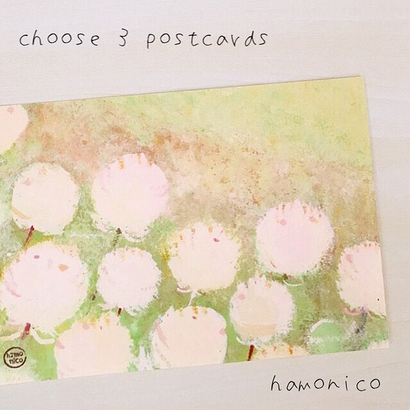 07 シロツメクサ（花）・3枚選べるpostcard 1枚目の画像