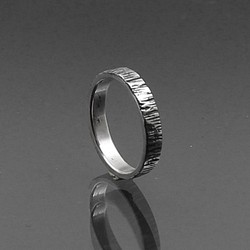 - 記憶 - 戒指 Ring (3mm) 第1張的照片