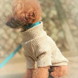 ミルクティー色のリブニット☆  小型犬S～MＳサイズ 1枚目の画像
