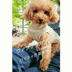 Yさま☆ 極小犬☆サイズオーダー☆ハイネック ミルクティー色の