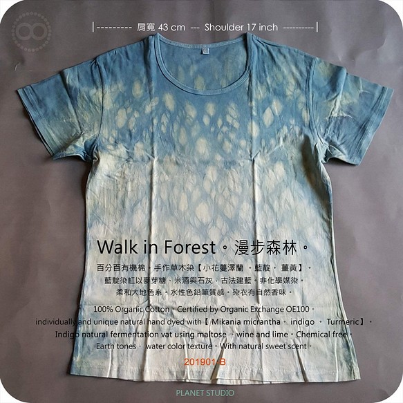 OD02天然染めTシャツ - 森の中を歩く染めオーガニックコットン[植生] 1枚目の画像