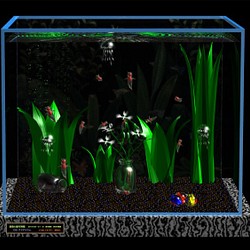 CG  水槽　クリオネクラゲ　２Ｌ判額装 1枚目の画像