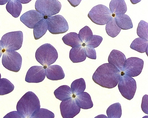 花材セット パープル Ｎｏ．378 - 各種パーツ