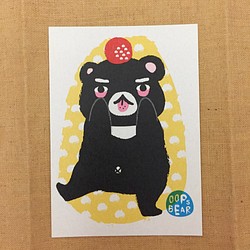 Oops bear - 黑熊與球名信片 第1張的照片