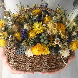 Natural yellow dryflower basket 1枚目の画像