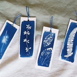 植物剪影。寫意藍曬書籤（四張一組） Botanic Cyanotype Bookmarks (4 in 1 set) 第1張的照片